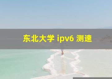 东北大学 ipv6 测速